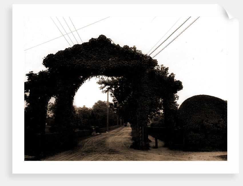 Jarvis Lane, Far Rockaway by Anonymous