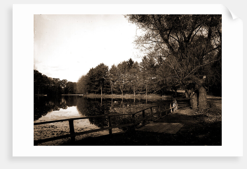 The Lake, Vassar College by Anonymous