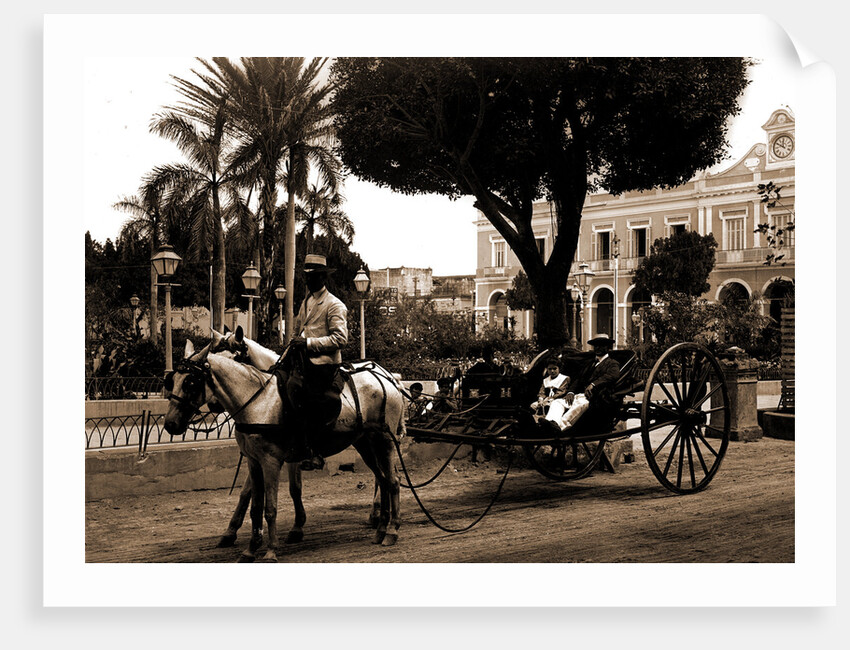 Cuban volanta, A by Anonymous