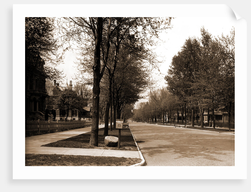 North Delaware Street, Indianapolis by Anonymous