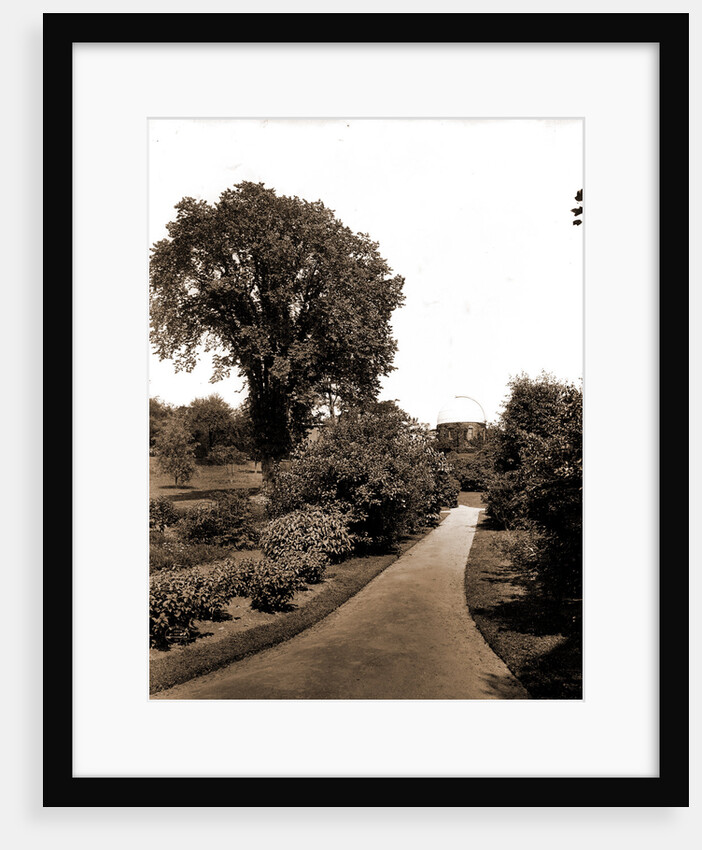 On the path to paradise, the campus by Anonymous