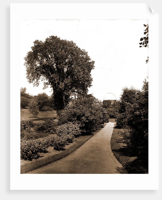 On the path to paradise, the campus by Anonymous