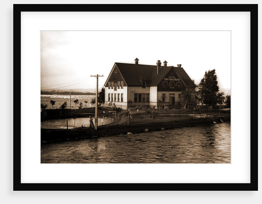 State fish hatchery, Sault Ste. Marie by Anonymous