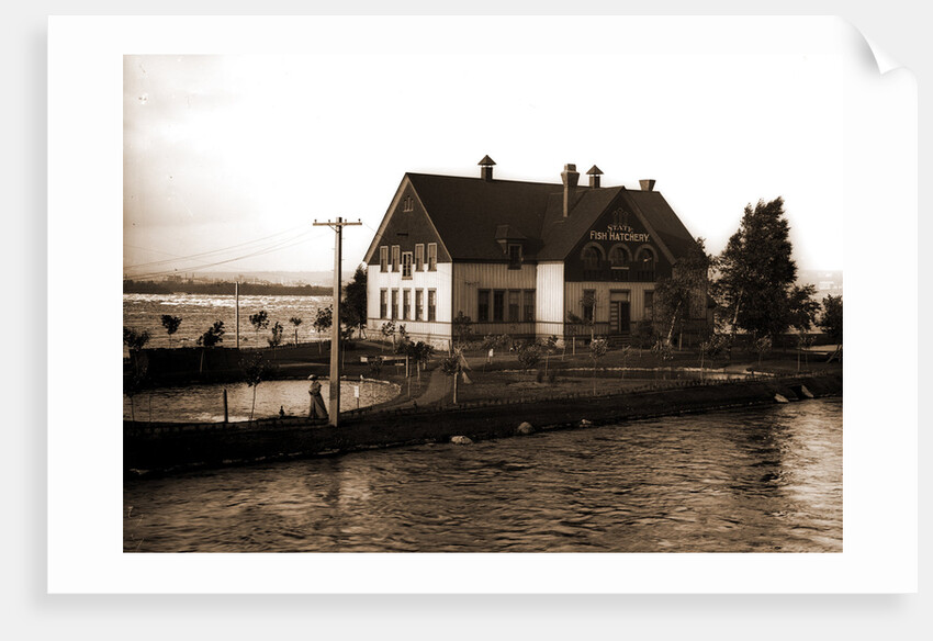State fish hatchery, Sault Ste. Marie by Anonymous