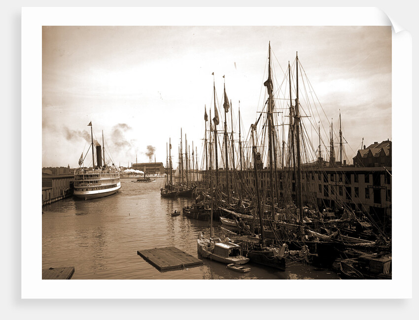 Schooners at "T" wharf, Boston by Anonymous