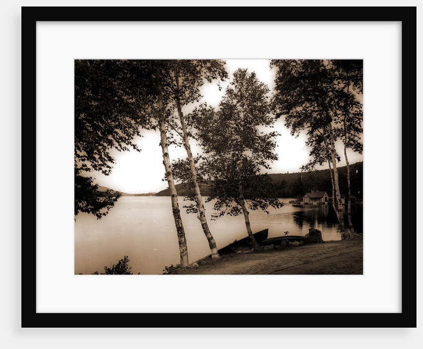 The Birches at Oak Birch Inn, Alton Bay by Anonymous