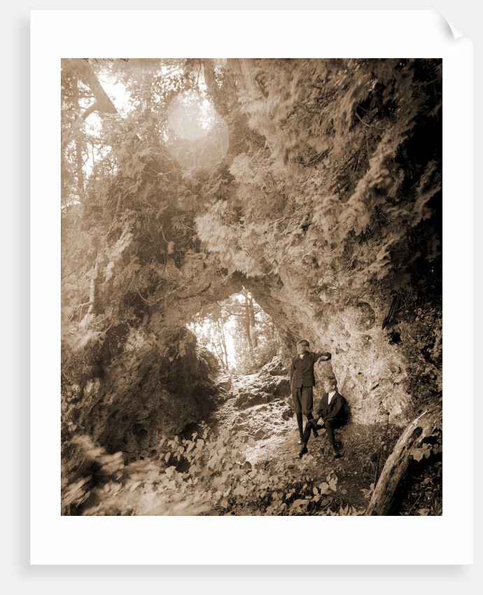 Fairy Arch, Mackinac Island by Anonymous