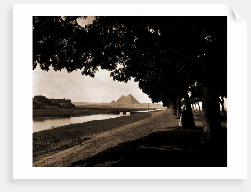 Pyramids, Canals by Anonymous
