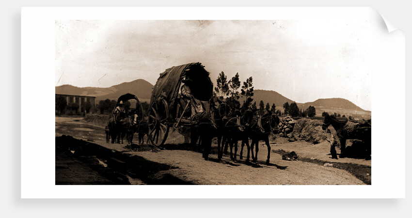 Returning from market, Amecameca by Anonymous