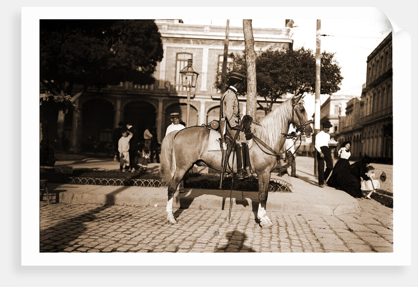 A Mounted policeman by Anonymous