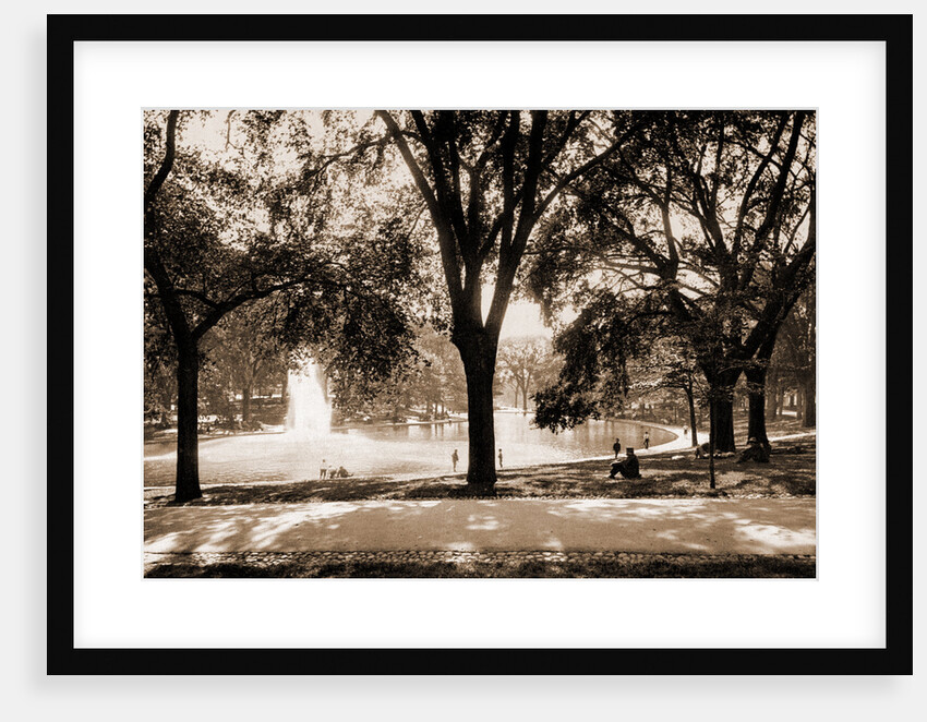 The Frog Pond, Boston Common by Anonymous