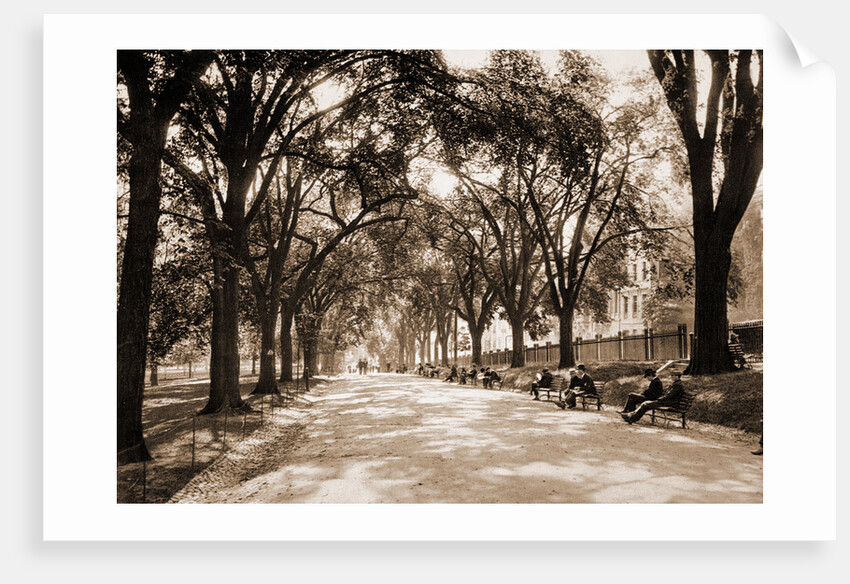 Beacon Street Mall, Boston by Anonymous