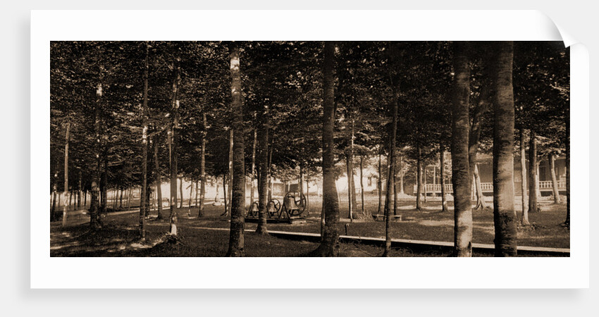 The Grove at Bay View, Michigan by Anonymous