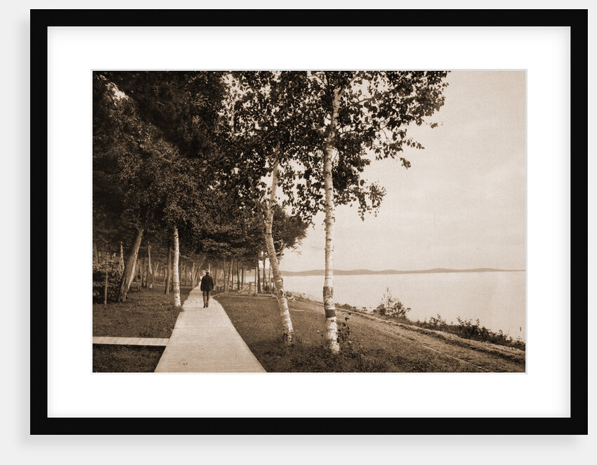 The Walk at We-Que-Ton-Sing, Michigan by Anonymous