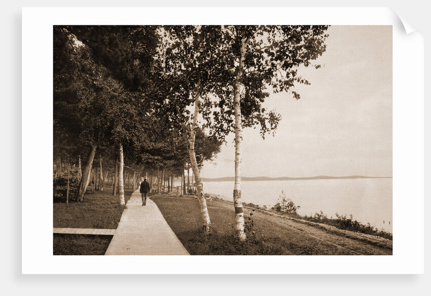 The Walk at We-Que-Ton-Sing, Michigan by Anonymous