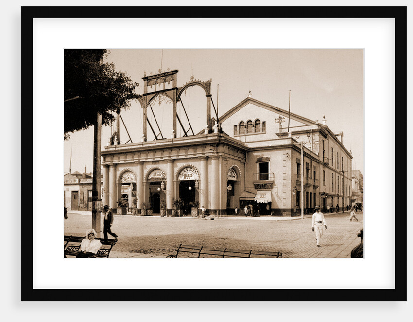 Teatro de Tacon, Habana by William Henry Jackson