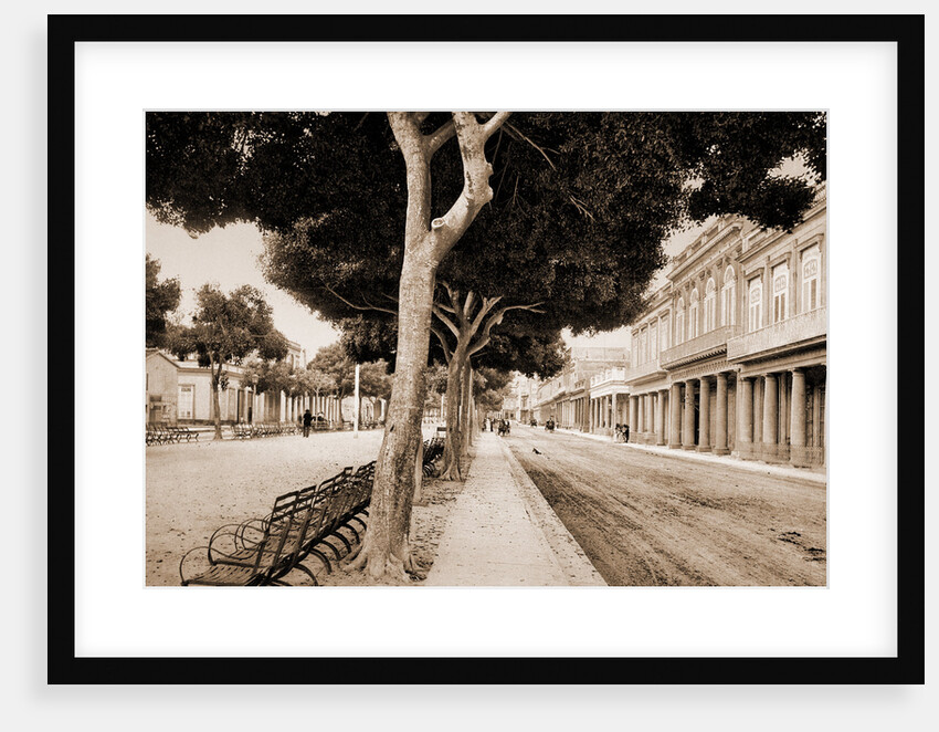 Paseo del Prado by William Henry Jackson