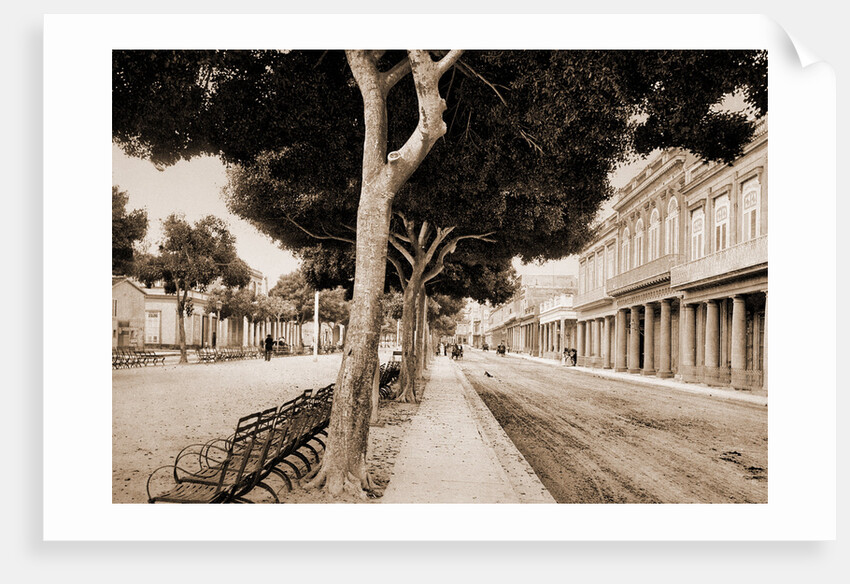 Paseo del Prado by William Henry Jackson