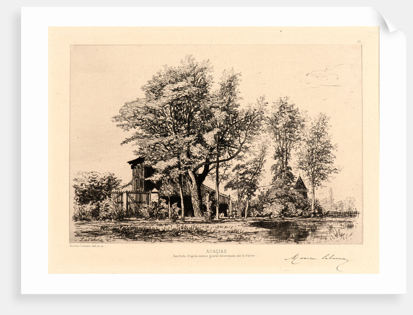 Acacias, 19th century by Maxime Lalanne