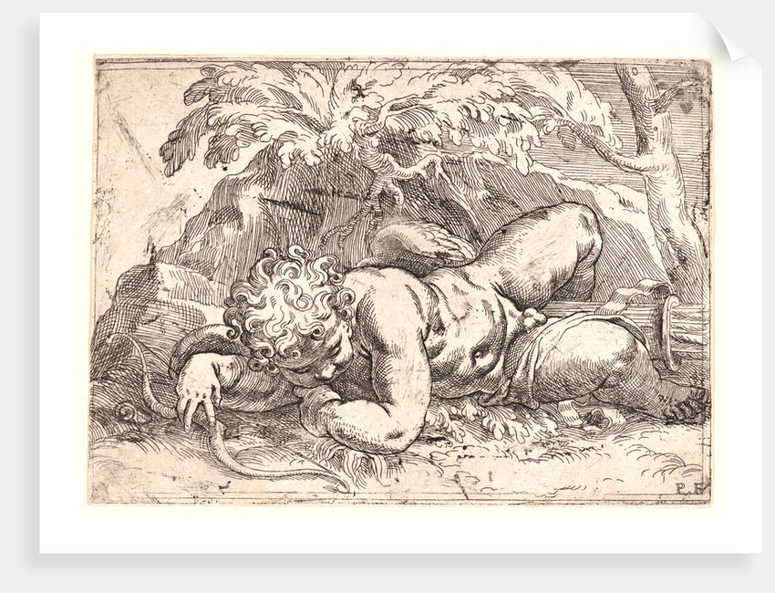 Cupid by Paolo Farinati