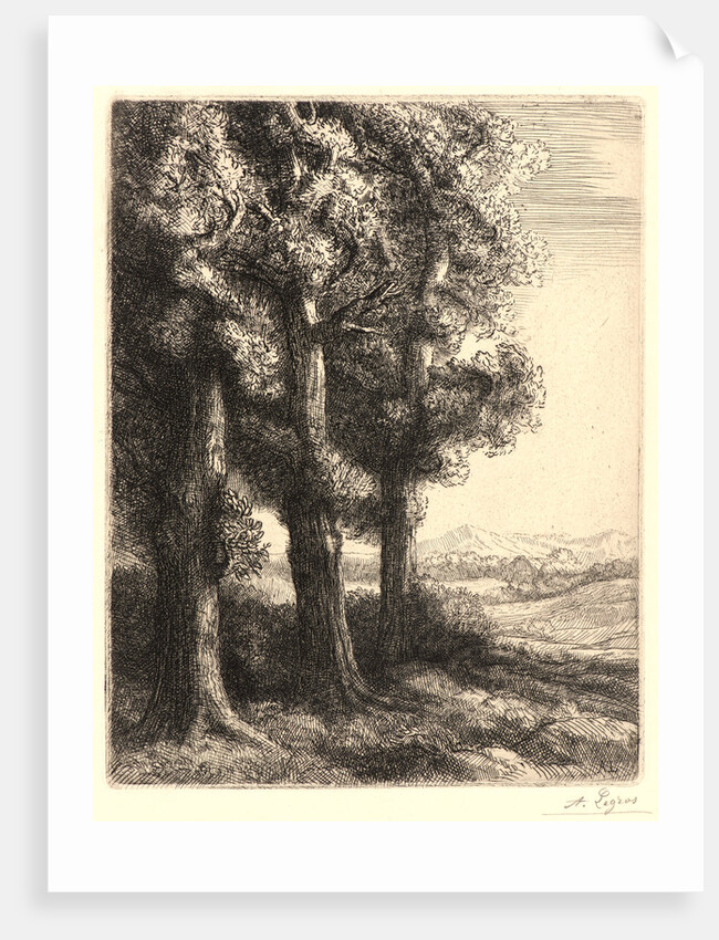 The Edge of the Woods (La Liseuse: La Lecture sous les Arbres) by Alphonse Legros