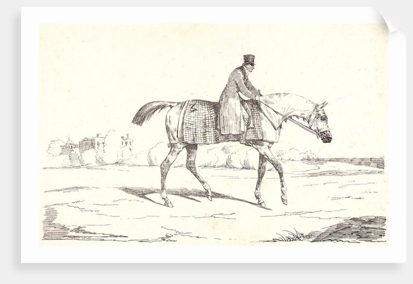 English Jockey (Jockey anglais), 1820 by Théodore Géricault