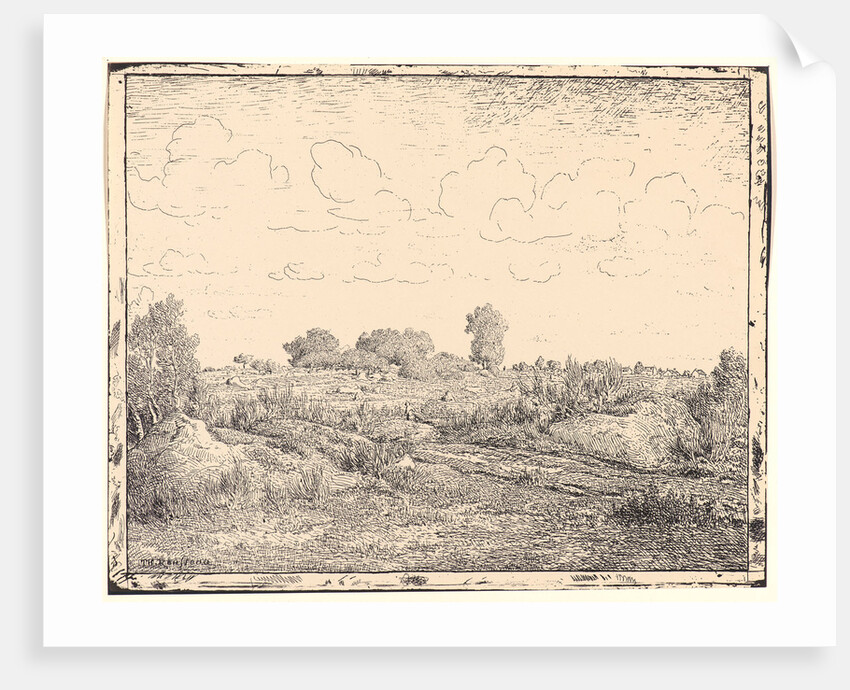 Le Plaine de la Plante a Biau, 19th century by Théodore Rousseau