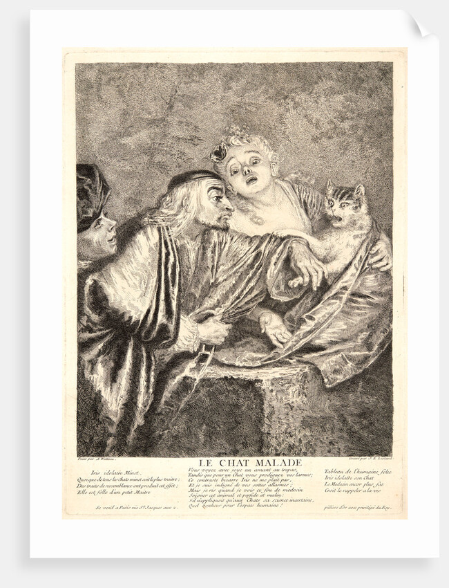 The Sick Cat (Le Chat Malade}, 1731 by Jean-Étienne Liotard