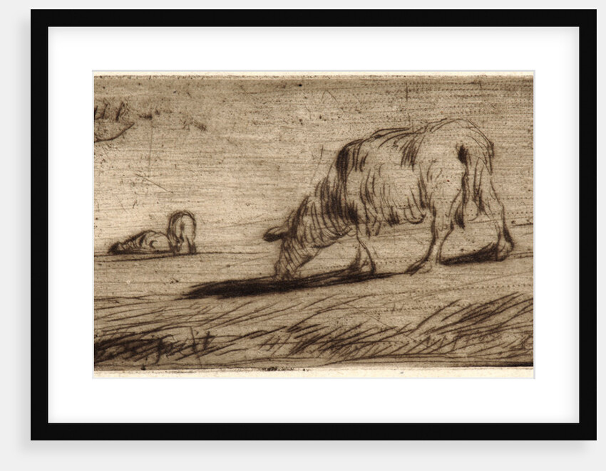 Sheep Grazing (Moutons Paissant), ca. 1849-1850 by Jean-François Millet