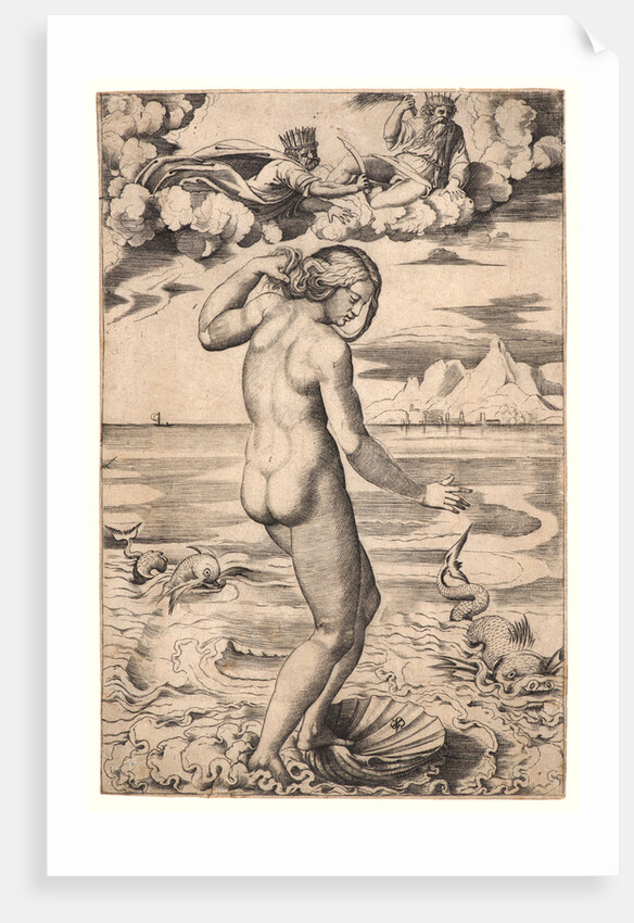 Venus, ca. 1516 by Marco Dente
