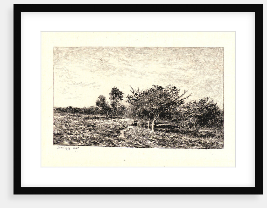 Apple Trees at Auvers (Pommiers à Auvers), 1877 by Charles François Daubigny