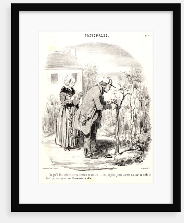 Ma greffe d'un cerisier sur abricotier n'a pas pris.., 1845 by Honoré Daumier