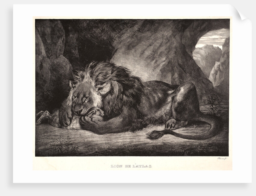 Lion of the Atlas Mountains (Lion d'Atlas), 1829 by Eugène Delacroix