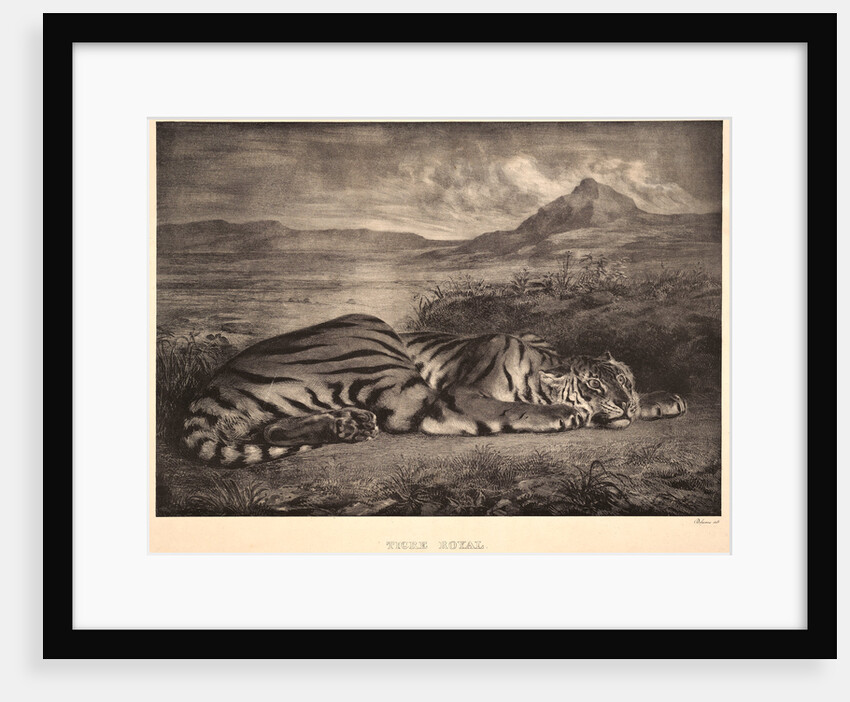 Tigre Royal, 1829 by Eugène Delacroix