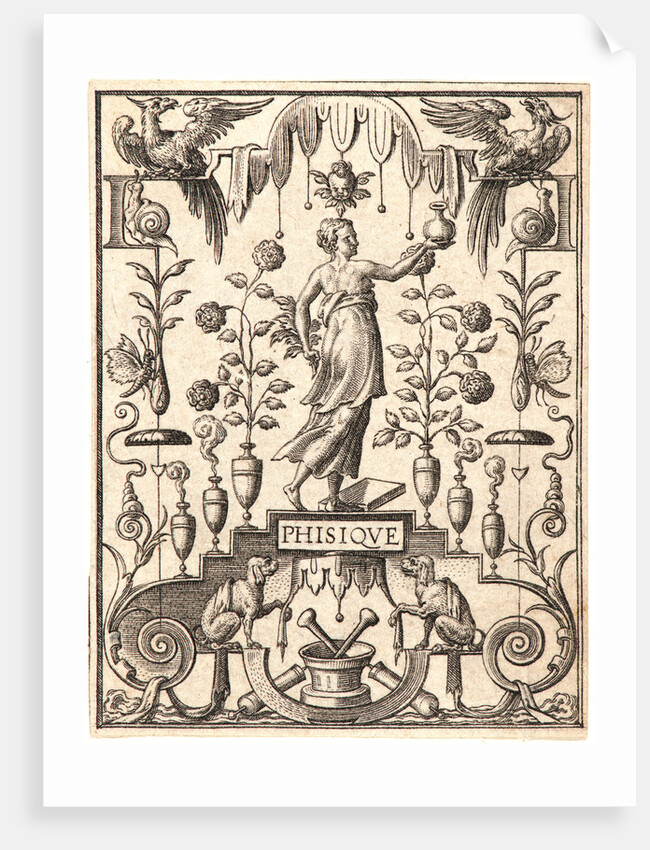 La Physique by Etienne Delaune