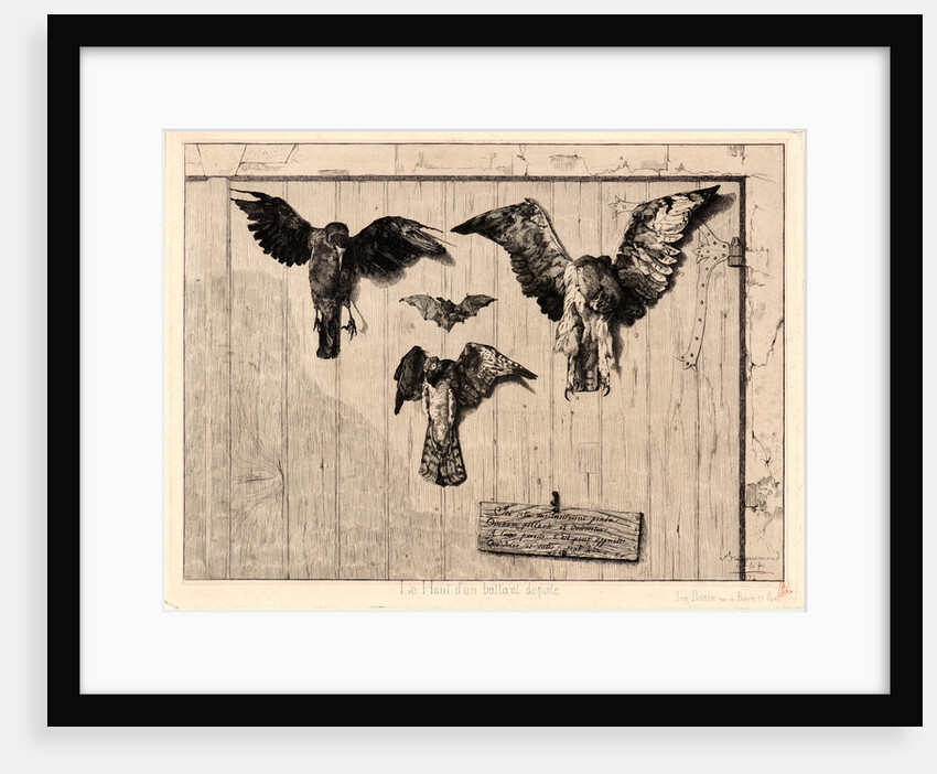 Birds Nailed to a Barn Door (Le Haut d'un Battant de Porte), 1852 by Félix Bracquemond