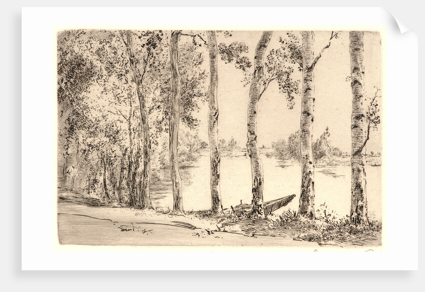 Aspens on the Bank of the Seine by Félix Bracquemond