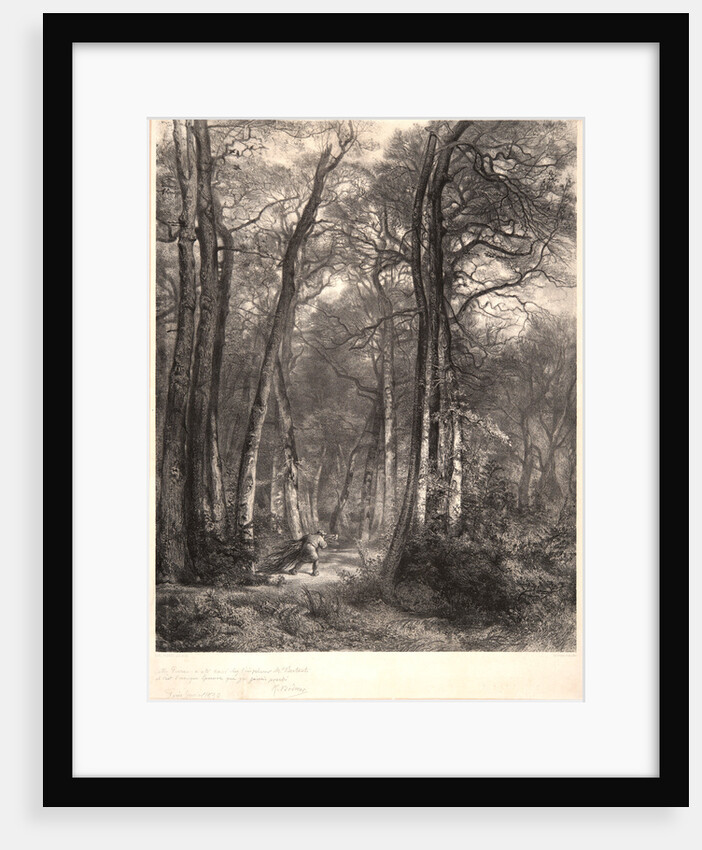 In the Forest or Tall Timber (En Forêt ou Haute Futaie), ca. 1851 by Karl Bodmer
