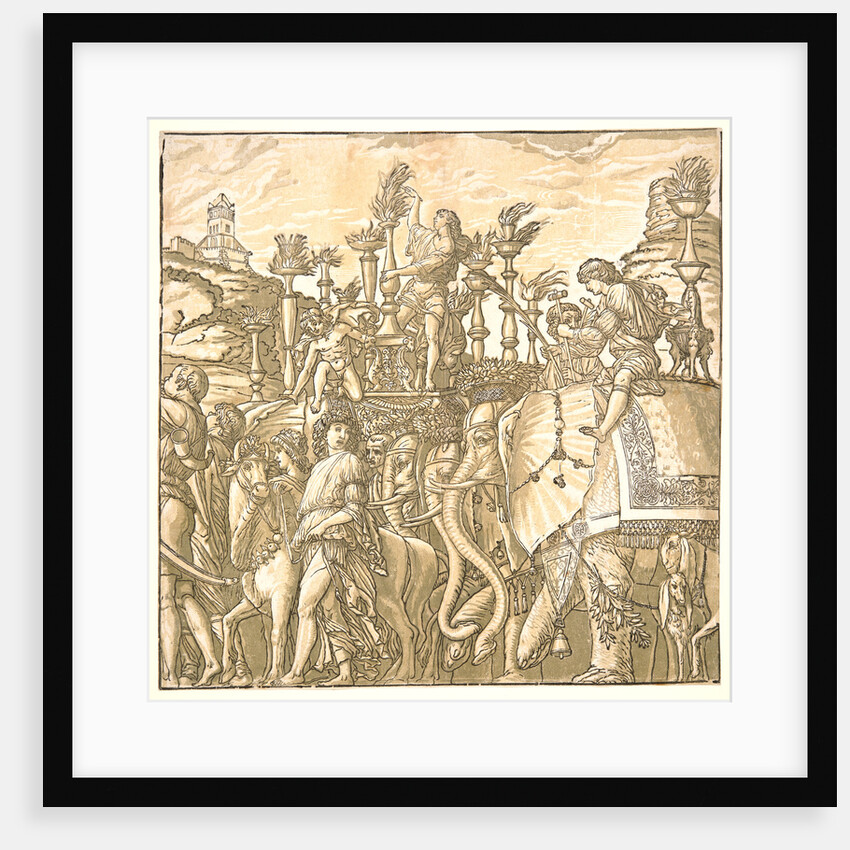 The Elephants, 1598 by Andrea Andreani