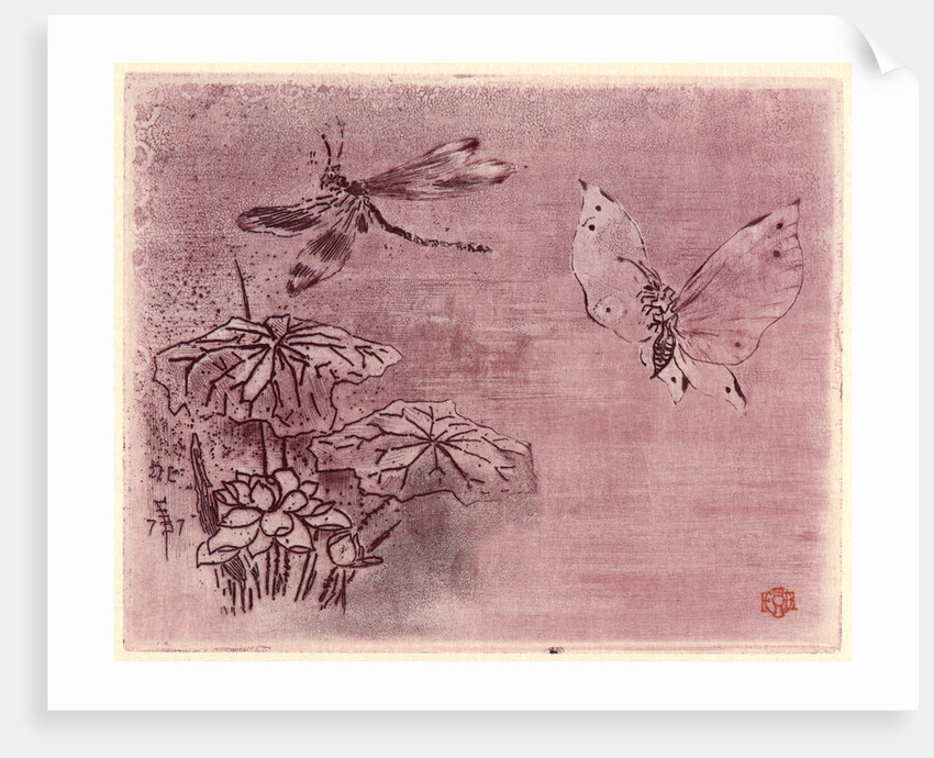 Bookplate with Butterfly and Dragonfly (Ex Libris Papillon et Libellule), 19th century by Félix Hilaire Buhot