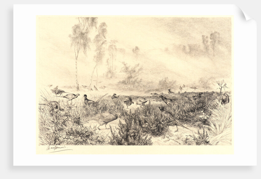 Morning Mists (Brumes du Matin) by Félix Bracquemond