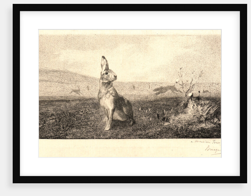 The Hare (Le Lièvre) by Félix Bracquemond