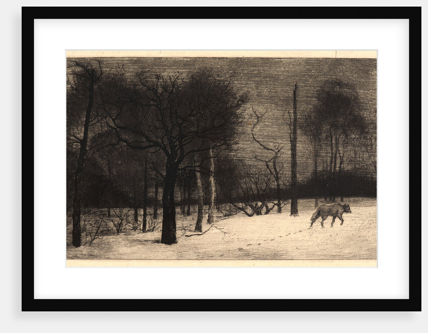 Winter (Hiver, ou le Loup dans la Neige) by Félix Bracquemond