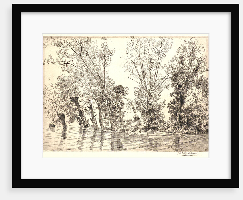 Willows (Les Saules des Mottiaux), 19th century by Félix Bracquemond