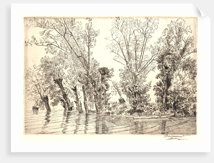 Willows (Les Saules des Mottiaux), 19th century by Félix Bracquemond