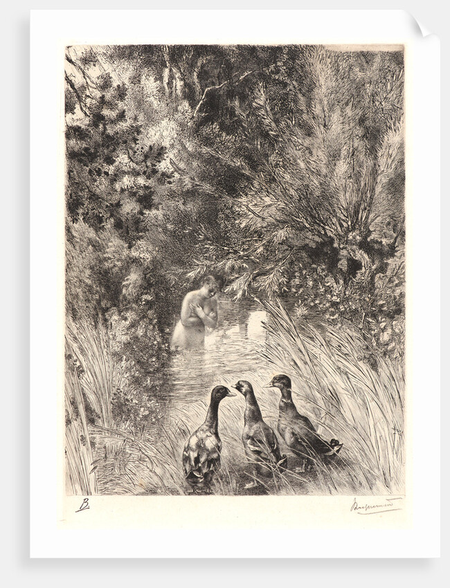 Surprised Ducks (Canards Surpris). by Félix Bracquemond