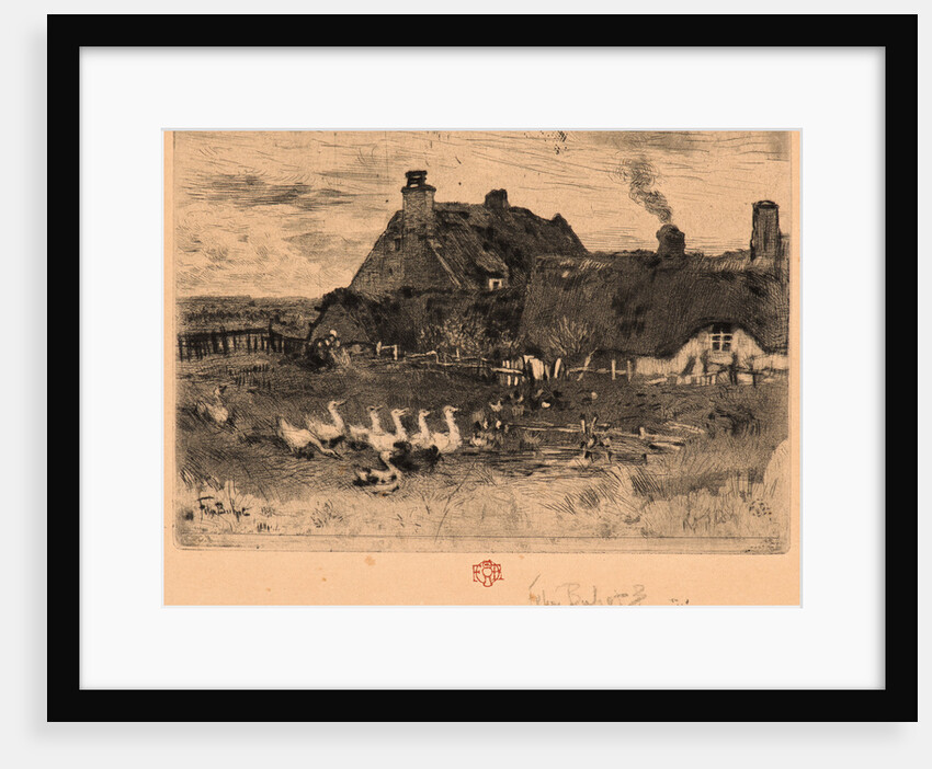 Ducks and Cottage, 19th century by Félix Hilaire Buhot