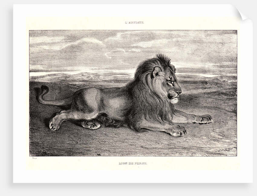 Lion de Perse, 1832? Lithograph. second or third. by Antoine-Louis Barye