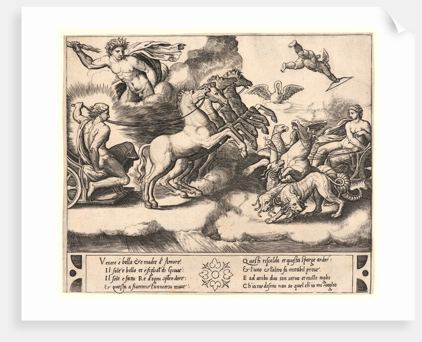 The Chariots of Apollo and Venus, 16th century by Anonymous