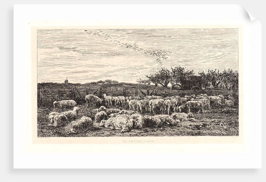 The Sheepfold, Morning (La Grand Parc à Moutons, le Matin), ca. 1860 by Charles François Daubigny